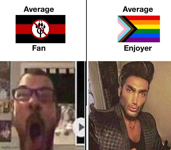 A real man respects LGBT | image tagged in average fan vs average enjoyer,anti furry,furry | made w/ Imgflip meme maker