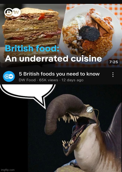 Bet yall none of that shit is seasoned | image tagged in memes,youtube,shitpost,british,funny memes,lol so funny | made w/ Imgflip meme maker