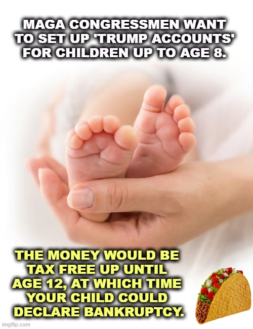 MAGA CONGRESSMEN WANT TO SET UP 'TRUMP ACCOUNTS' FOR CHILDREN UP TO AGE 8. THE MONEY WOULD BE 
TAX FREE UP UNTIL 
AGE 12, AT WHICH TIME 
YOUR CHILD COULD 
DECLARE BANKRUPTCY. | image tagged in trump,children,money,bankruptcy | made w/ Imgflip meme maker