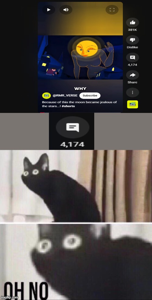 BATMAN THERES NO LAWS AGAINST THE MOON BATMAN!!! | image tagged in oh no cat,moon | made w/ Imgflip meme maker