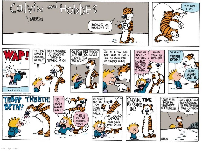 The tapioca hits the fan when Hobbes hits Calvin in the head with a snowball! | image tagged in calvin and hobbes,comics,altercation,snowball,gibberish | made w/ Imgflip meme maker