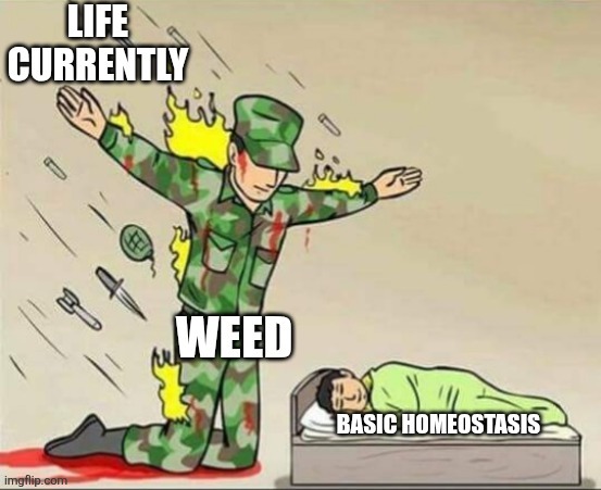image tagged in soldier protecting sleeping child | made w/ Imgflip meme maker