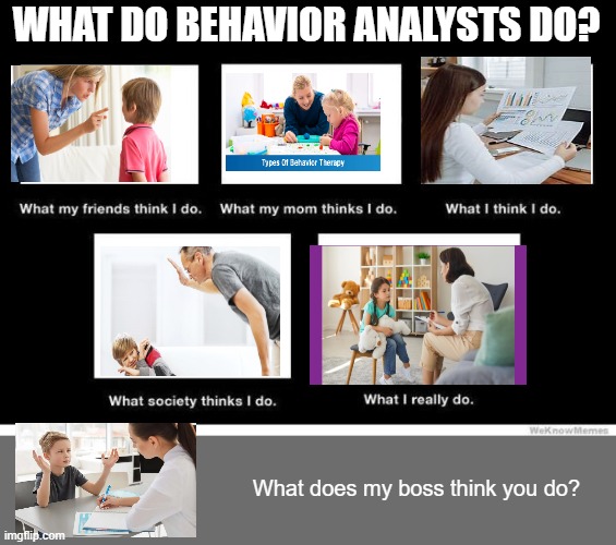 What people think I do | WHAT DO BEHAVIOR ANALYSTS DO? What does my boss think you do? | image tagged in what people think i do | made w/ Imgflip meme maker