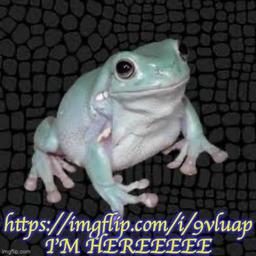 I am an influential human | https://imgflip.com/i/9vluap I'M HEREEEEE | image tagged in white's tree frog | made w/ Imgflip meme maker