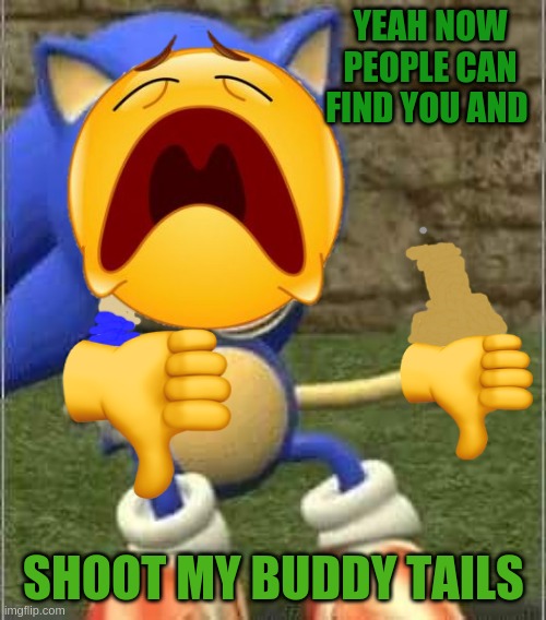 Drunk Sonic | YEAH NOW PEOPLE CAN FIND YOU AND SHOOT MY BUDDY TAILS | image tagged in drunk sonic | made w/ Imgflip meme maker