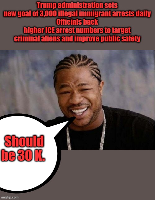 Head um UP move um out.. | Trump administration sets new goal of 3,000 illegal immigrant arrests daily
Officials back higher ICE arrest numbers to target criminal aliens and improve public safety; Should be 30 K. | image tagged in memes,yo dawg heard you | made w/ Imgflip meme maker