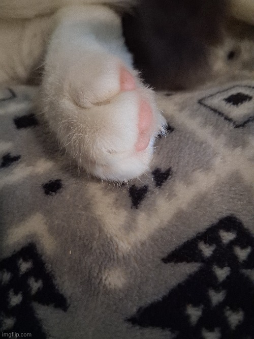 Toe beansss | made w/ Imgflip meme maker