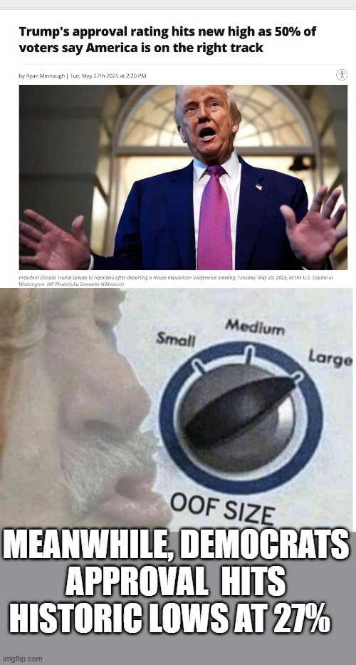 If I was a democrat..never mind..I can't remove my own brain and replace it with dog shit  to think like them. | MEANWHILE, DEMOCRATS APPROVAL  HITS HISTORIC LOWS AT 27% | image tagged in oof size large,politics lol,ouch,democrats,owned,maga | made w/ Imgflip meme maker