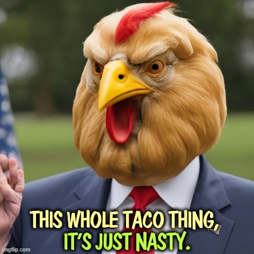 THIS WHOLE TACO THING, IT'S JUST NASTY. | image tagged in trump,taco,chicken,weak | made w/ Imgflip meme maker