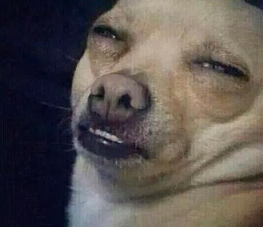 Ick Dog Blank Meme Template