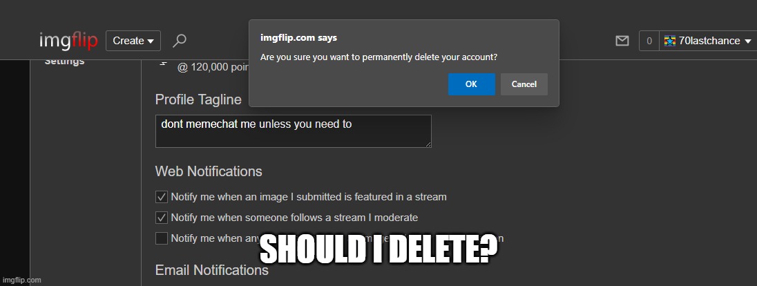 SHOULD I DELETE? | made w/ Imgflip meme maker