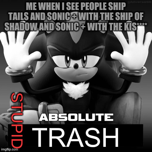 I really hate ships | ME WHEN I SEE PEOPLE SHIP TAILS AND SONIC + WITH THE SHIP OF SHADOW AND SONIC + WITH THE KIS****; STUPID | image tagged in stupid,absolute trash,i hate it when,i see ships | made w/ Imgflip meme maker