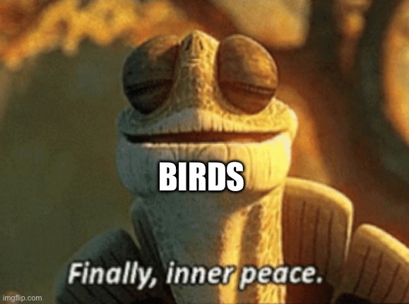 Finally, inner peace. | BIRDS | image tagged in finally inner peace | made w/ Imgflip meme maker