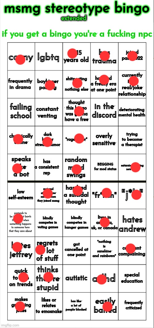 HOW THE FUCK DID I NOT GET A BINGO | image tagged in msmg stereotype bingo extended | made w/ Imgflip meme maker