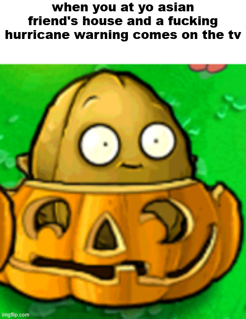 PVZ template | when you at yo asian friend's house and a fucking hurricane warning comes on the tv | image tagged in pvz template | made w/ Imgflip meme maker