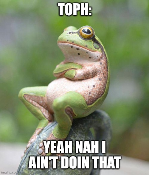nah frog | TOPH: YEAH NAH I AIN'T DOIN THAT | image tagged in nah frog | made w/ Imgflip meme maker