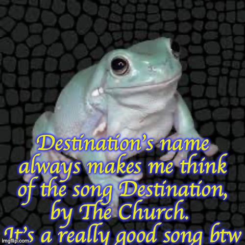 White's Tree Frog | Destination's name always makes me think of the song Destination, by The Church.  It's a really good song btw | image tagged in white's tree frog | made w/ Imgflip meme maker
