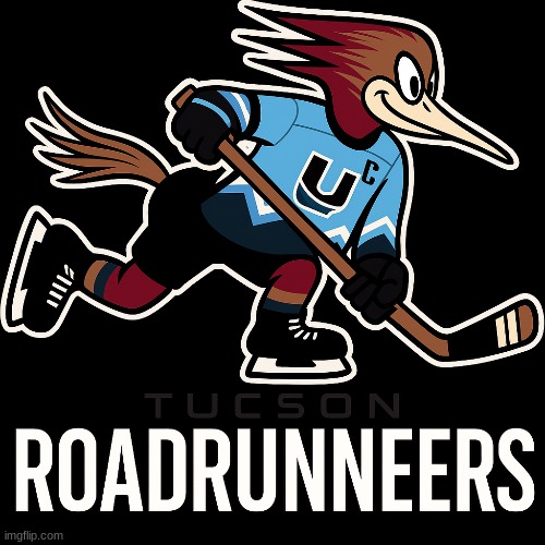 Tuscon Roadrunners meme | image tagged in memes,arizona,hockey,ice hockey,sports,nhl | made w/ Imgflip meme maker