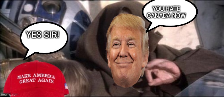 No brain maga | YOU HATE CANADA NOW; YES SIR! | image tagged in trump supporter,maga,conservative,donald trump,trump,nevertrump | made w/ Imgflip meme maker