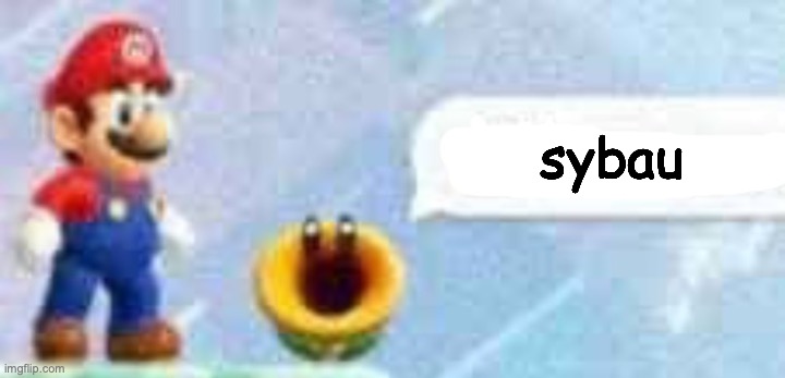 Mario talking flower | sybau | image tagged in mario talking flower | made w/ Imgflip meme maker