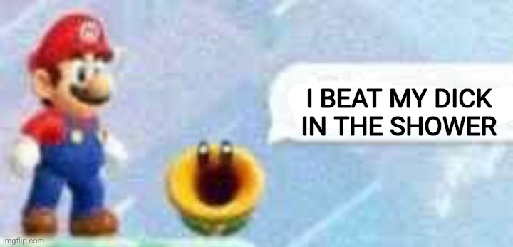 Mario talking flower | I BEAT MY DICK IN THE SHOWER | image tagged in mario talking flower | made w/ Imgflip meme maker