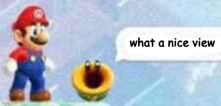 Mario talking flower | what a nice view | image tagged in mario talking flower | made w/ Imgflip meme maker