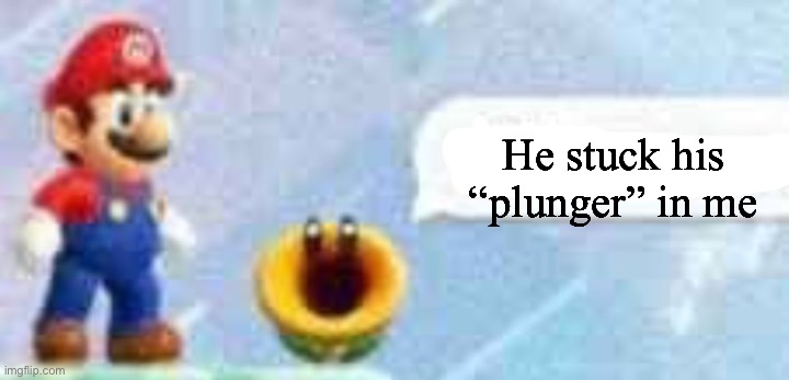 Mario talking flower | He stuck his “plunger” in me | image tagged in mario talking flower | made w/ Imgflip meme maker