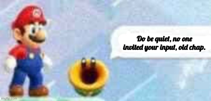 Mario talking flower | Do be quiet, no one invited your input, old chap. | image tagged in mario talking flower | made w/ Imgflip meme maker