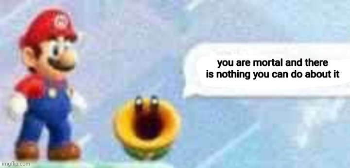 Mario talking flower | you are mortal and there is nothing you can do about it | image tagged in mario talking flower | made w/ Imgflip meme maker