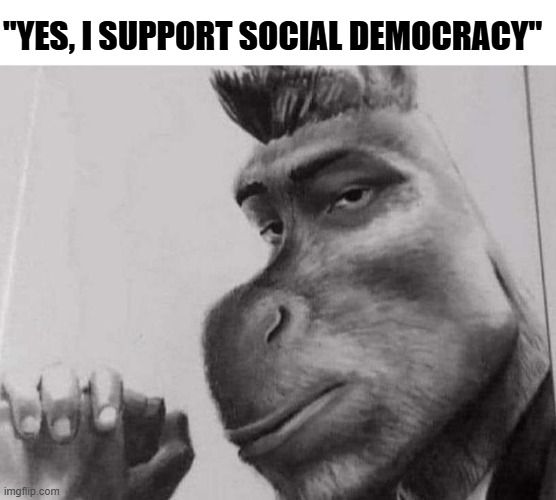 Sigma donkey | "YES, I SUPPORT SOCIAL DEMOCRACY" | image tagged in sigma donkey,shrek,democracy,cartoon,donkey,socialism | made w/ Imgflip meme maker