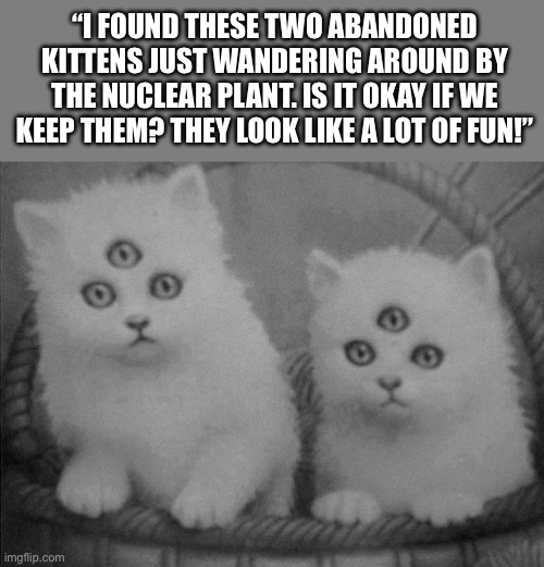 They also glow in the dark… | “I FOUND THESE TWO ABANDONED KITTENS JUST WANDERING AROUND BY THE NUCLEAR PLANT. IS IT OKAY IF WE KEEP THEM? THEY LOOK LIKE A LOT OF FUN!” | image tagged in cats,three eyes,nuclear plant | made w/ Imgflip meme maker