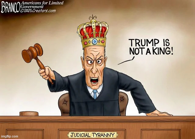 Judicial tyranny | image tagged in political,reposts,judicial tyranny | made w/ Imgflip meme maker