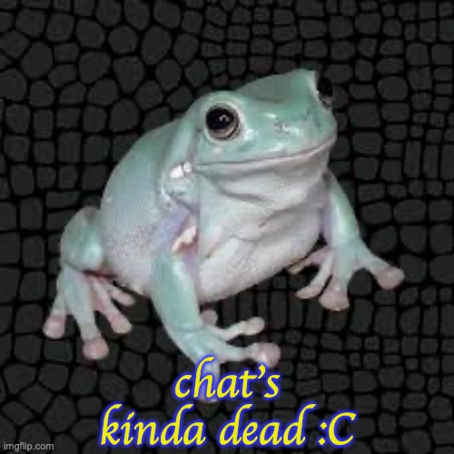 White's Tree Frog | chat's kinda dead :C | image tagged in white's tree frog | made w/ Imgflip meme maker
