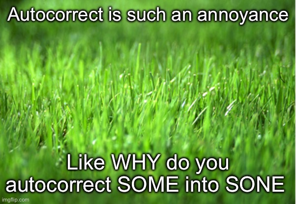 grass is greener | Autocorrect is such an annoyance; Like WHY do you autocorrect SOME into SONE | image tagged in grass is greener | made w/ Imgflip meme maker