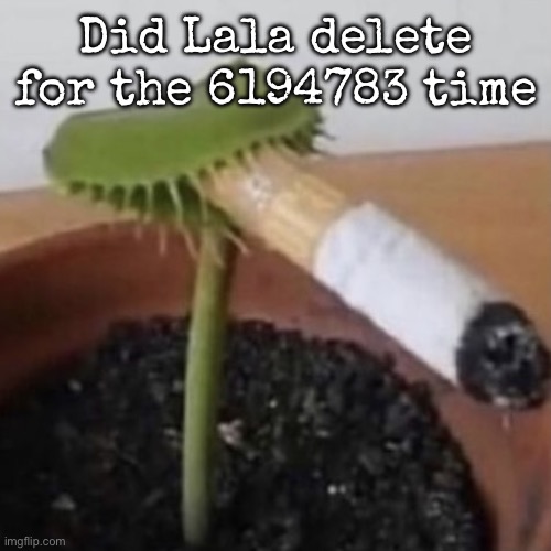 plant weeds | Did Lala delete for the 6194783 time | image tagged in plant weeds,msmg | made w/ Imgflip meme maker