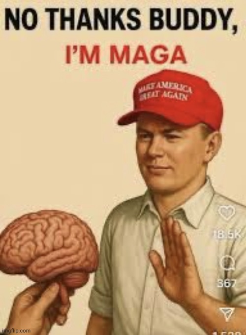 im not a politics guy and ik this aint a politics stream obvs but i js wanted to post this here | made w/ Imgflip meme maker