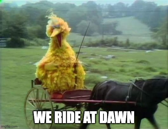 we ride at dawn | WE RIDE AT DAWN | image tagged in we ride at dawn bitches blank,big bird,dont play,do not mess with big bird | made w/ Imgflip meme maker