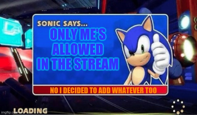 Click for rules | ONLY ME'S ALLOWED IN THE STREAM; NO I DECIDED TO ADD WHATEVER TOO | image tagged in sonic says,rules | made w/ Imgflip meme maker