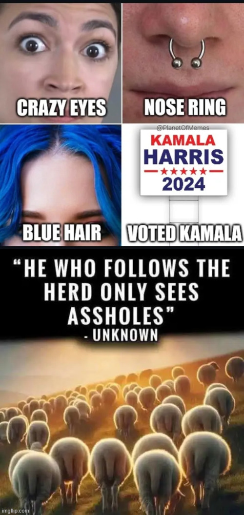 The cult herd | image tagged in msm,can sell anything,to the cult herd | made w/ Imgflip meme maker