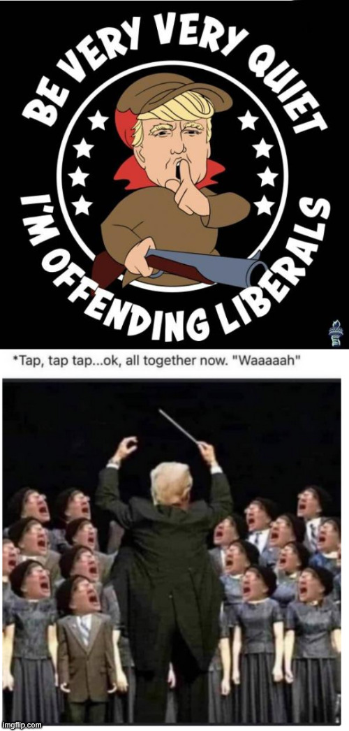 Triggering weak minded people | image tagged in trump,triggers,weak minded people | made w/ Imgflip meme maker