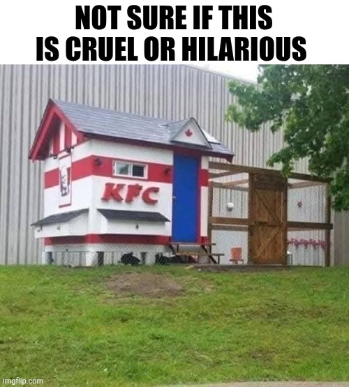 Not Sure If This Is Cruel Or Hilarious | NOT SURE IF THIS IS CRUEL OR HILARIOUS | image tagged in chrisjoines1 | made w/ Imgflip meme maker