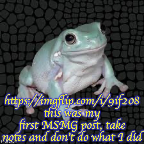 White's Tree Frog | https://imgflip.com/i/9if208 this was my first MSMG post, take notes and don't do what I did | image tagged in white's tree frog | made w/ Imgflip meme maker