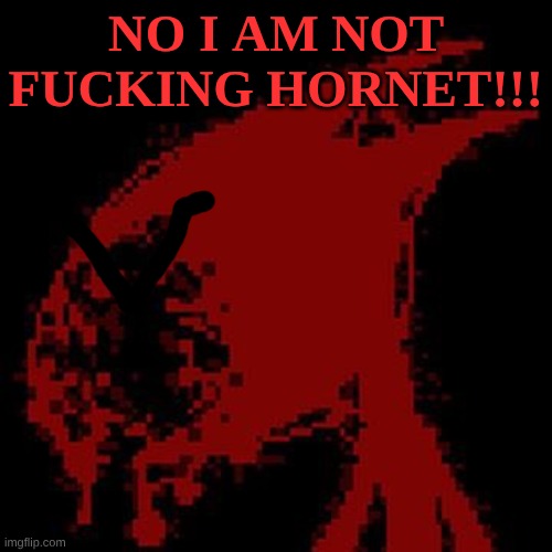 I'm not Fucking hornet!!! | NO I AM NOT FUCKING HORNET!!! | image tagged in hatred from block tales | made w/ Imgflip meme maker