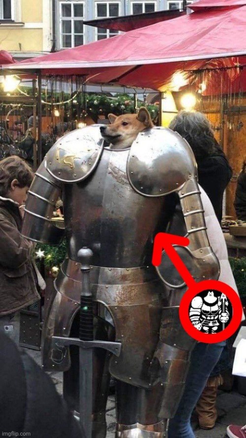 Greater doge irl | image tagged in greater dog | made w/ Imgflip meme maker