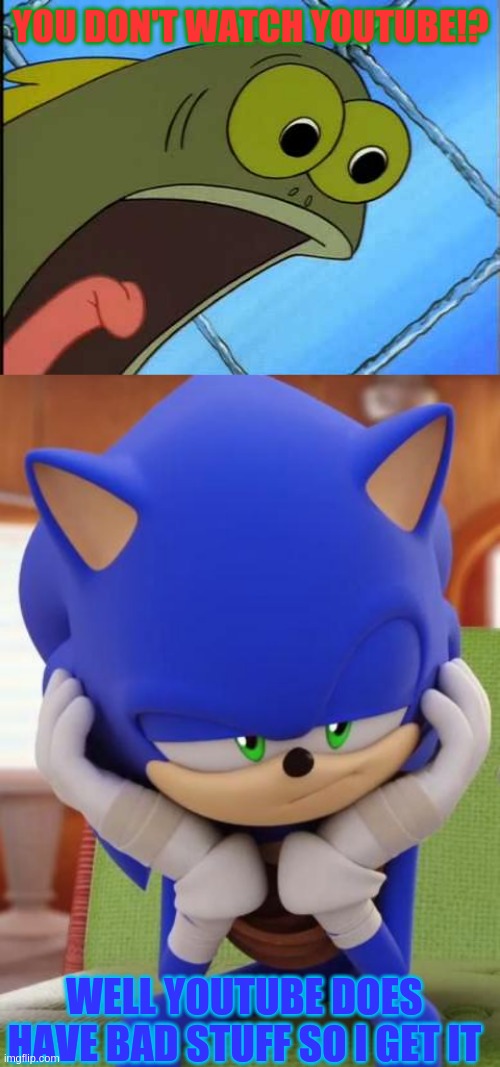 YOU DON'T WATCH YOUTUBE!? WELL YOUTUBE DOES HAVE BAD STUFF SO I GET IT | image tagged in you what,disappointed sonic | made w/ Imgflip meme maker