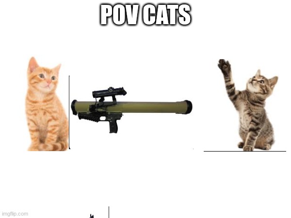 pov cats | POV CATS | image tagged in cats | made w/ Imgflip meme maker