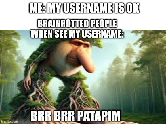 When My Username | ME: MY USERNAME IS OK; BRAINROTTED PEOPLE WHEN SEE MY USERNAME:; BRR BRR PATAPIM | image tagged in blank white template | made w/ Imgflip meme maker