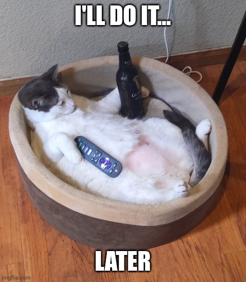 Beer Cat | I'LL DO IT... LATER | image tagged in beer cat | made w/ Imgflip meme maker