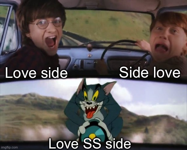 Tom chasing Harry and Ron Weasly | Love side Side love Love SS side | image tagged in tom chasing harry and ron weasly | made w/ Imgflip meme maker