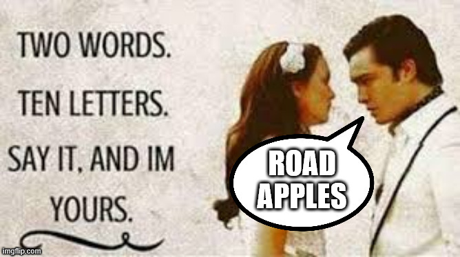 two words ten letters | ROAD
APPLES | image tagged in two words ten letters | made w/ Imgflip meme maker